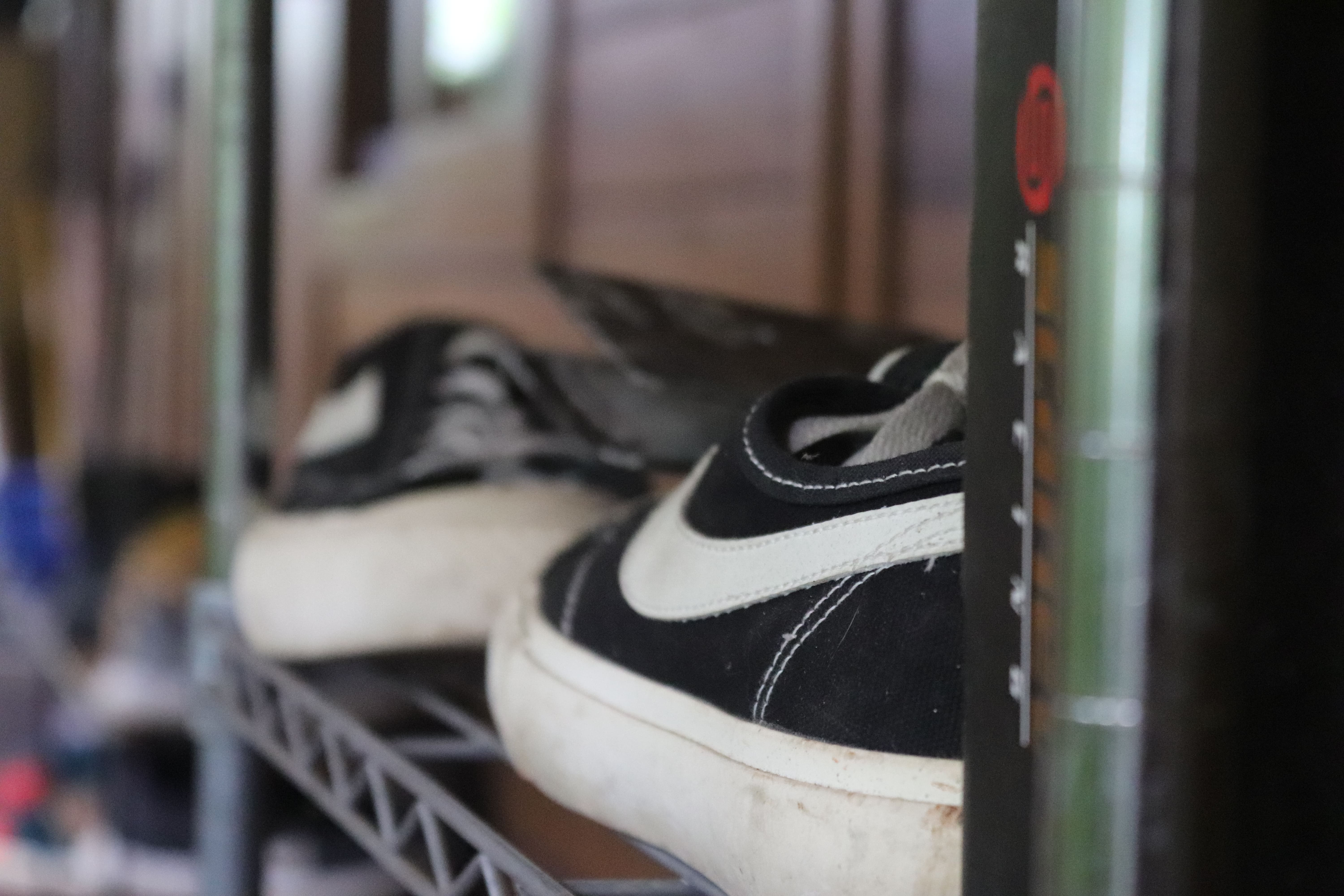 Photograph 13