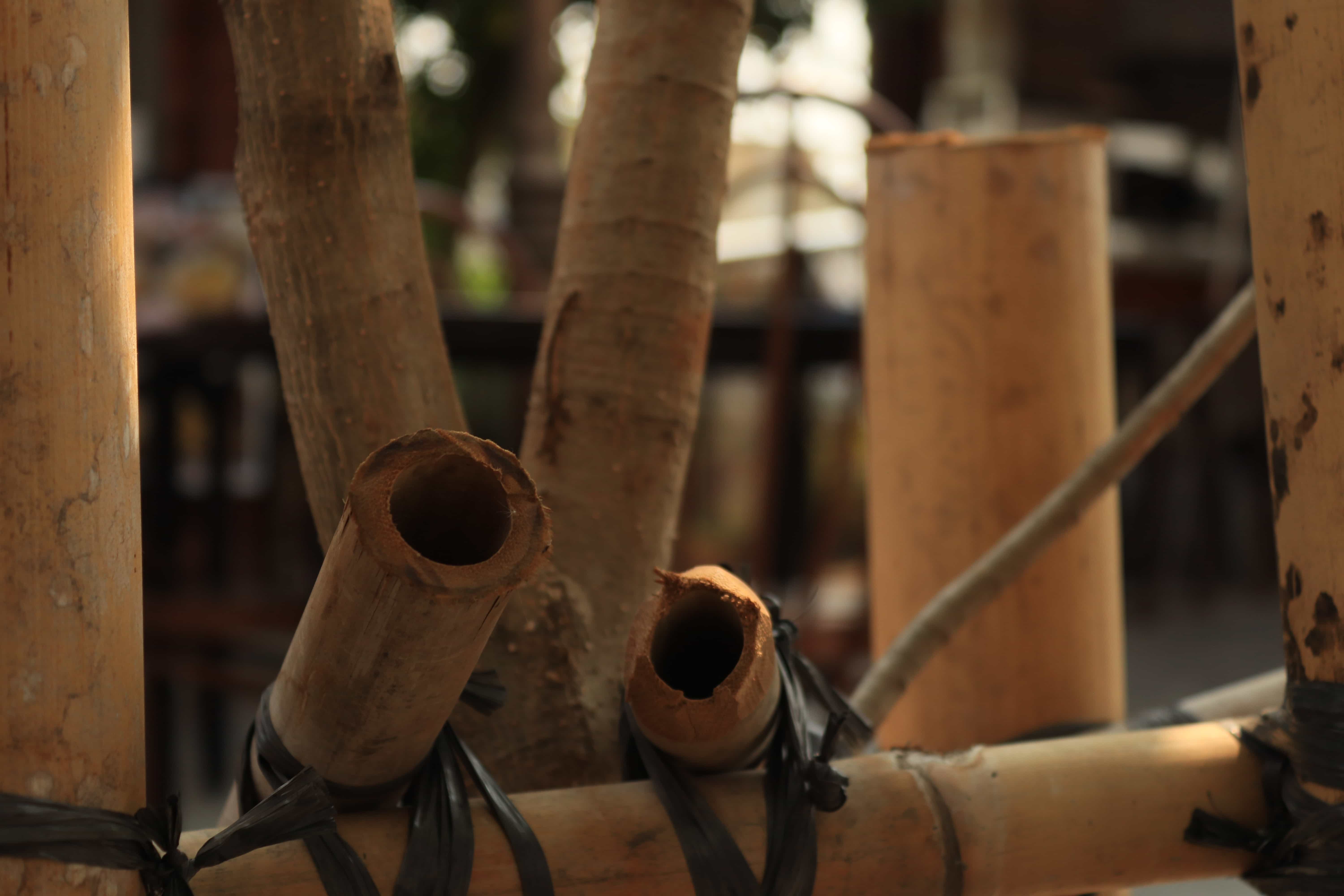 Photograph 7