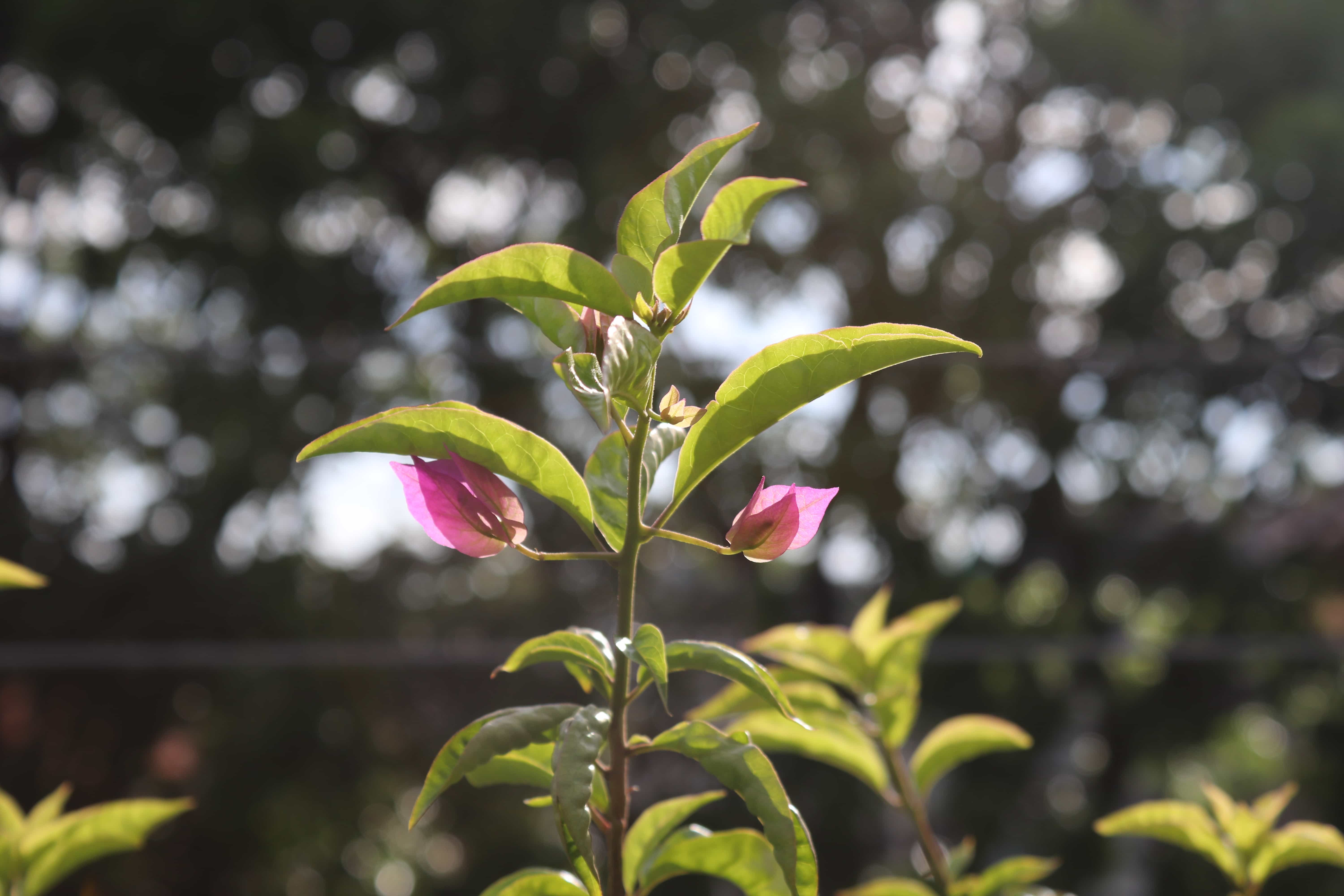 Photograph 8