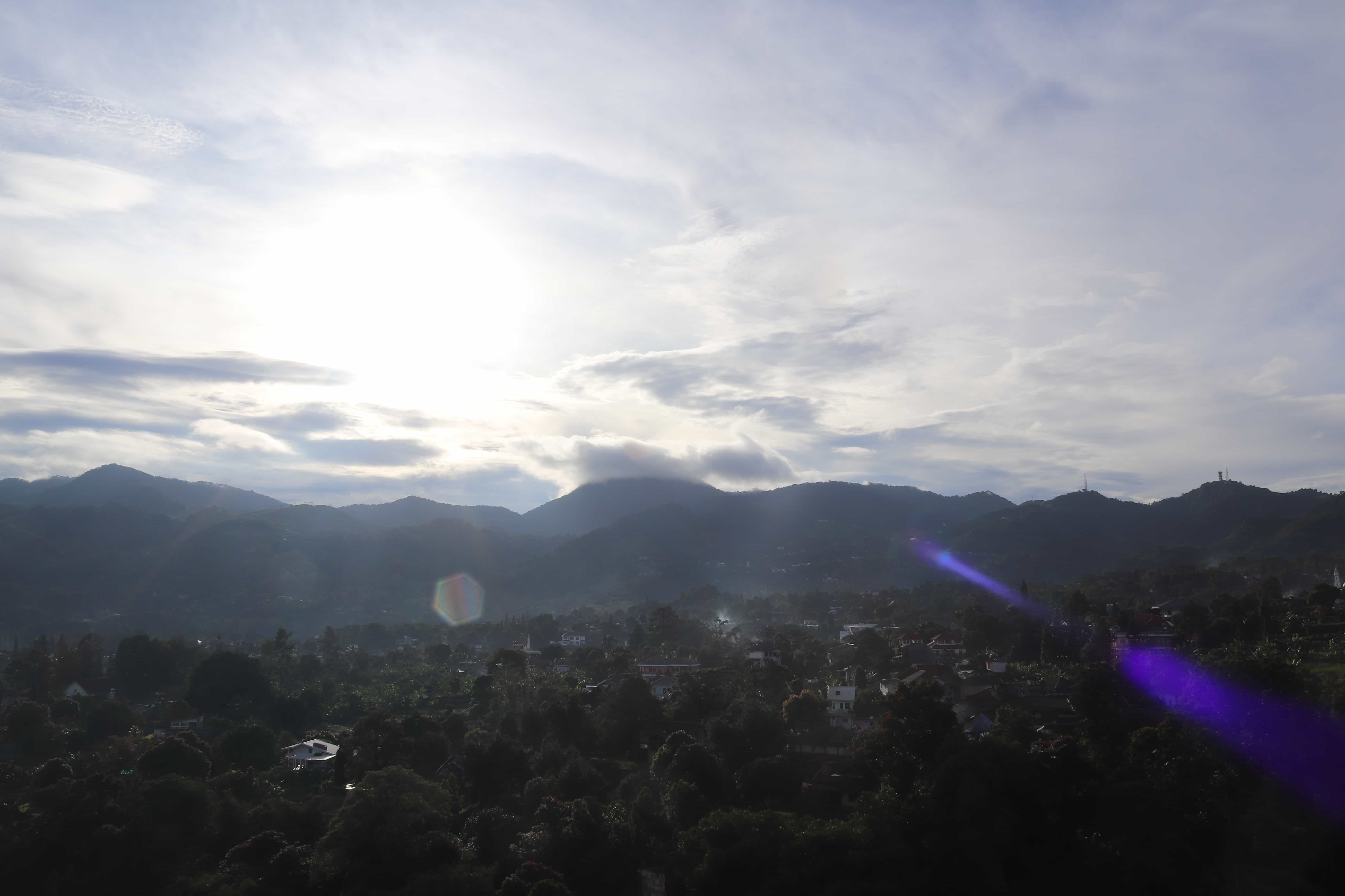Photograph 9